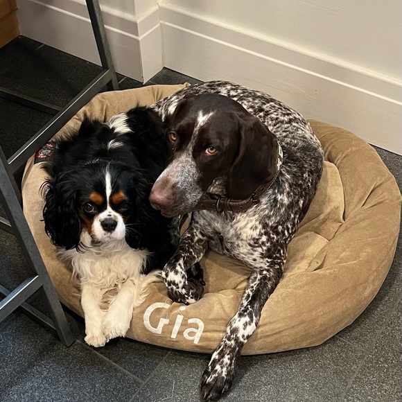 Meet your Posher, Amber - Picture 1 of 3